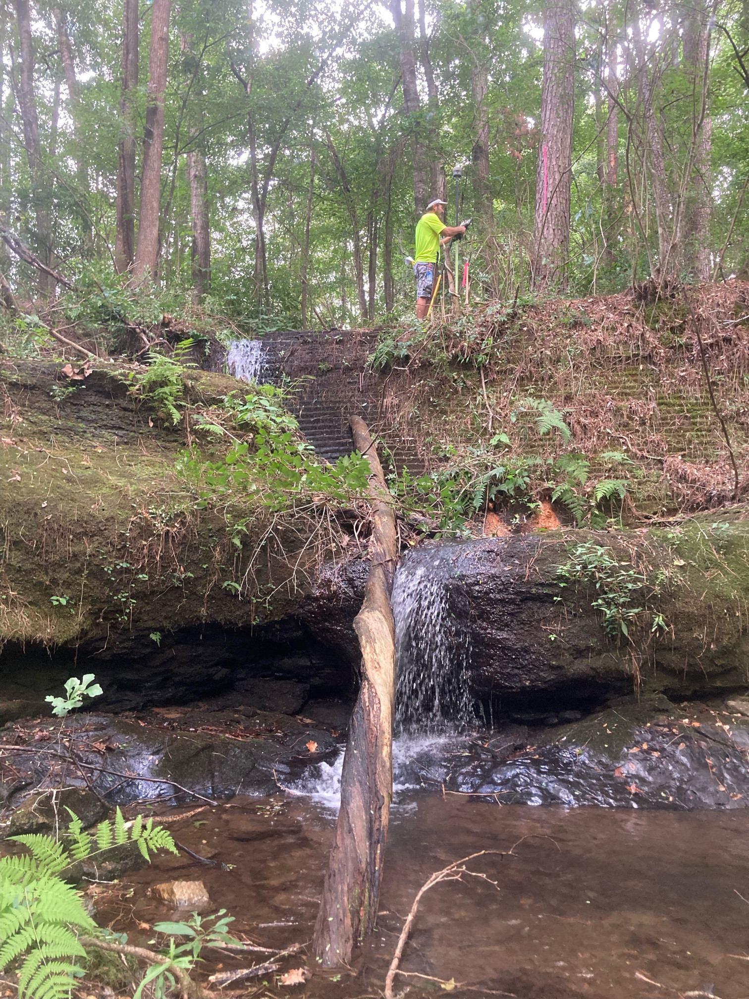 Tuscaloosa Stream-Terry B